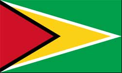 Bandeira da Guiana