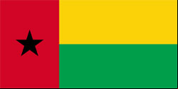 Bandeira da Guin