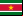 Bandeira Suriname