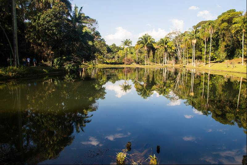 Viajar no feriado de Corpus Christi para o Amazonas - Estado do Amazonas - Corpus Christi 2025 no Amazonas