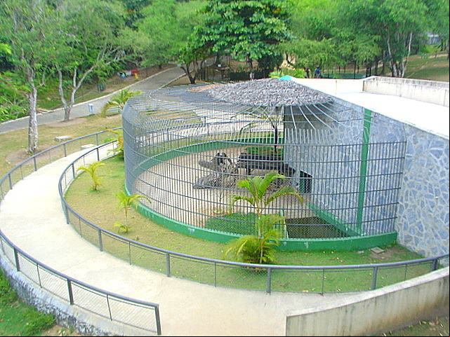 Parque da Cidade - Parque Governador Jos