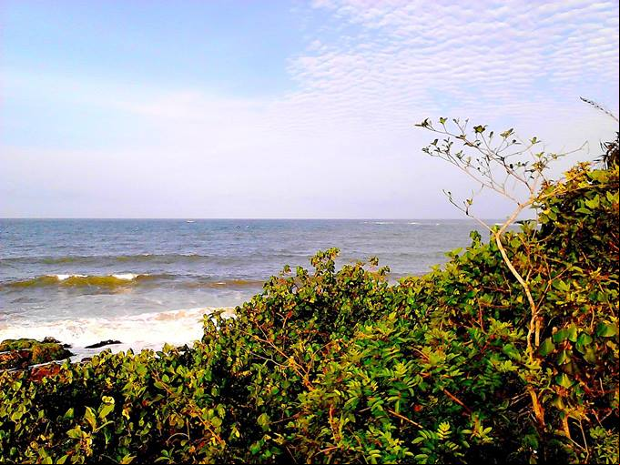 Praia do Grant - Vegeta