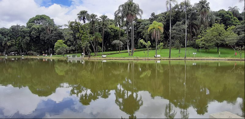 Belo Horizonte - Minas Gerais - Regi