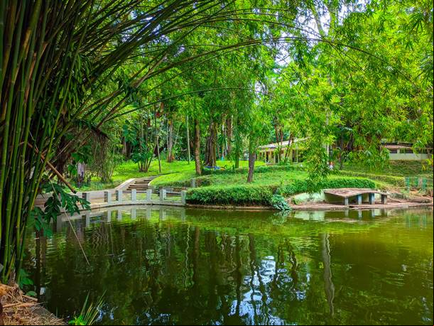 Parque Municipal Am