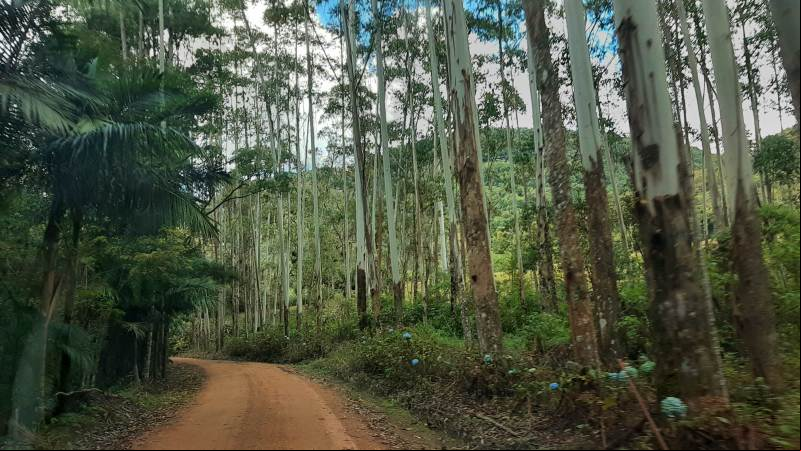 Caminhos de terra - Benedito Novo - Vale Europeu Catarinense - Estado de Santa Catarina - Regi