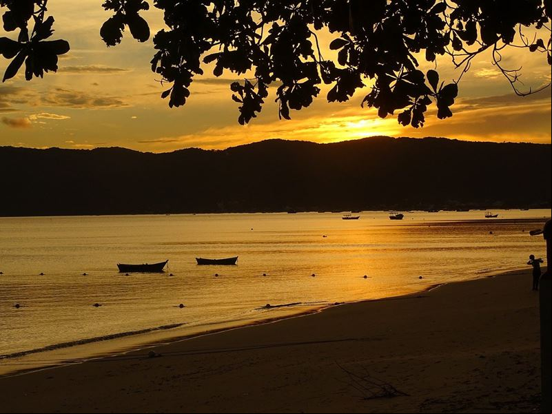 Canto Grande - Bombinhas - Litoral Norte Catarinense - Costa Esmeralda - Estado de Santa Catarina - Regi