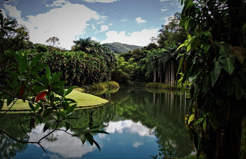 Instituto Inhotim - Brumadinho - Estado de Minas Gerais - Regi