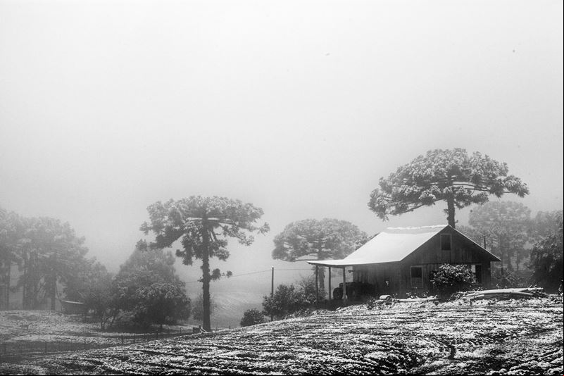 Neve em Caxias do Sul - Rio Grande do Sul - Regi