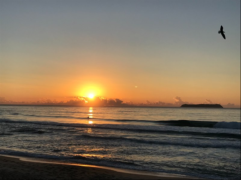 Praia Mole - Ilha de Florian