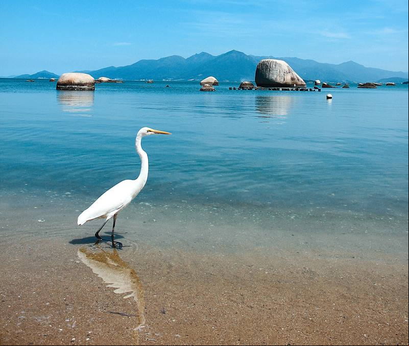 Ilha de Florian
