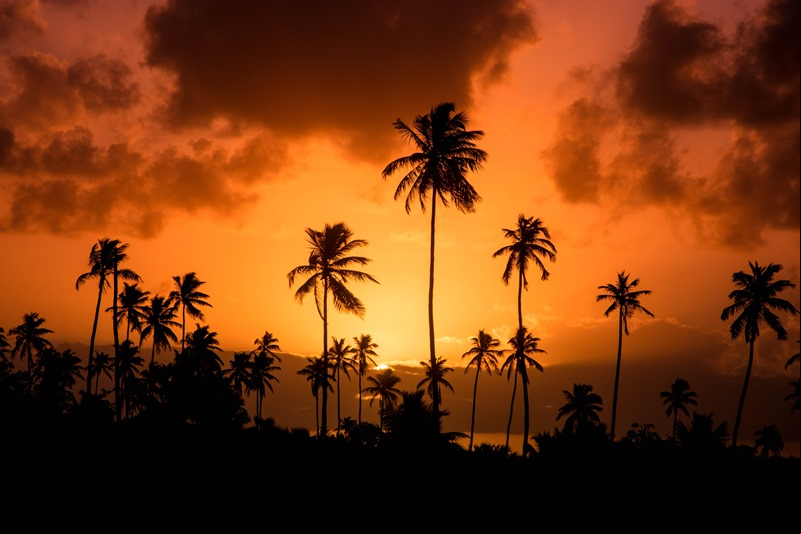 Praia de Porto de Galinhas - Ipojuca - Estado de Pernambuco - Regi