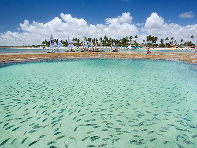 Praia de Porto de Galinhas - Ipojuca - Estado de Pernambuco - Regi