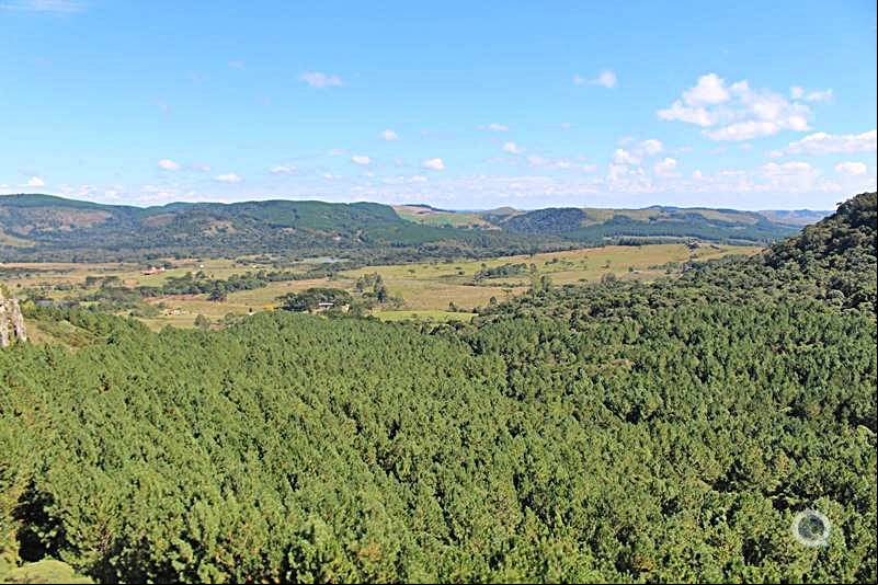 Parque de Aventuras - Pedras Brancas - Lages - Serra Catarinense - Estado de Santa Catarina - Regi