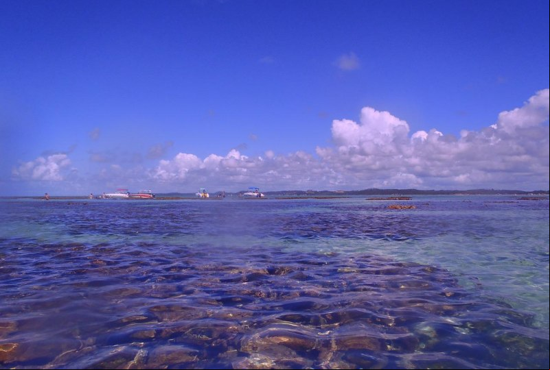 Piscinas naturais - Macei