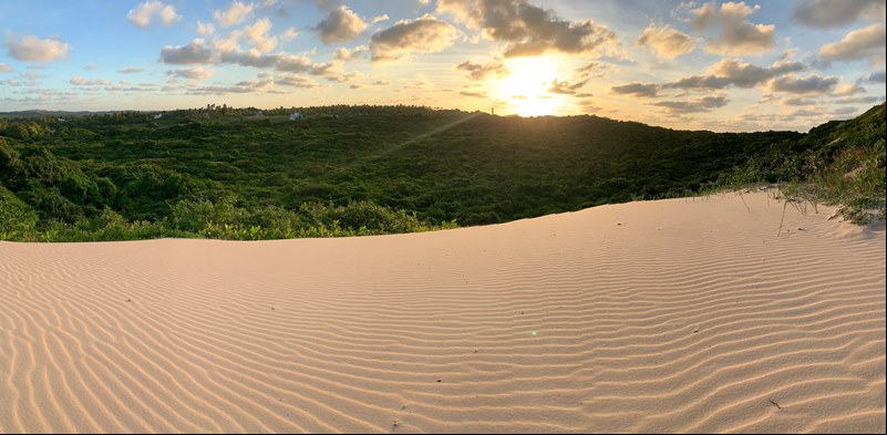 Parque Estadual Dunas de Natal - Parque das Dunas - Bosque dos Namorados - Natal - Estado do Rio Grande do Norte - Regi