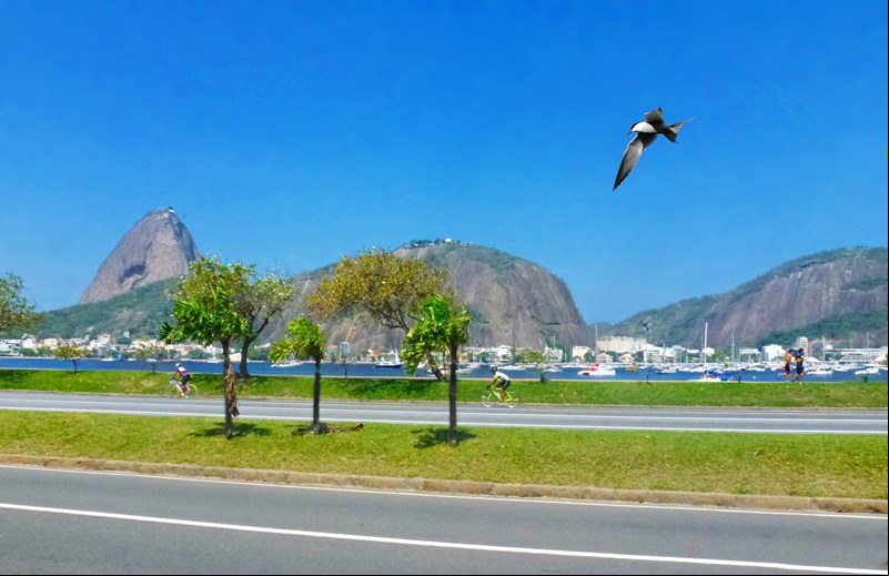 Viajar no feriado de Natal para o Rio de Janeiro - Aterro do Flamengo - Rio de Janeiro - Regi