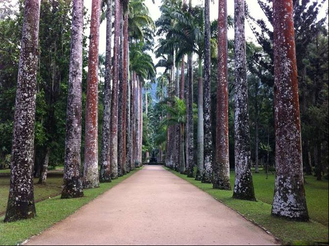 Destinos de viagem - O que fazer no Rio de Janeiro - Onde ear no Rio de Janeiro - Jardim Bot