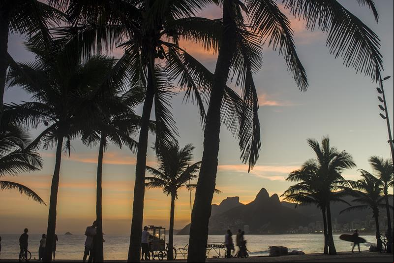 Coqueiros - Praia de Ipanema - Cidade do Rio de Janeiro - Rio de Janeiro - Regi