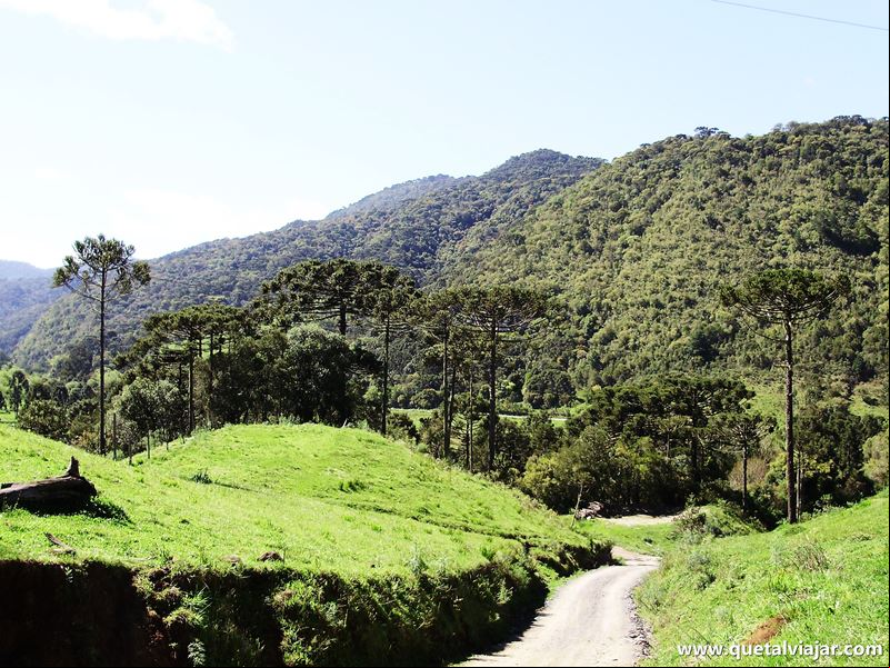 Urubici - Serra Catarinense - Santa Catarina - Regi