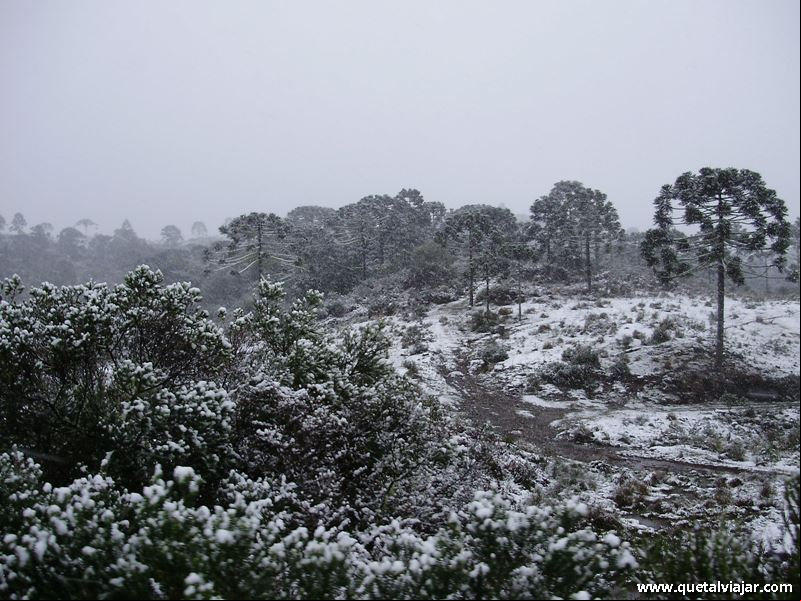 Neve em Urubici - Neve no Morro da Igreja - Serra Catarinense - Santa Catarina - Regi