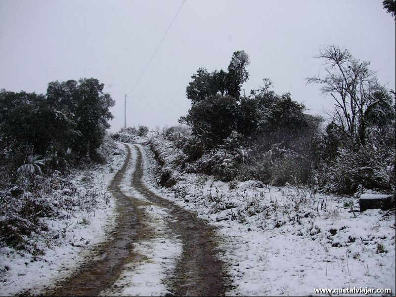 Neve em Urubici - Neve no Morro da Igreja - Serra Catarinense - Santa Catarina - Regi