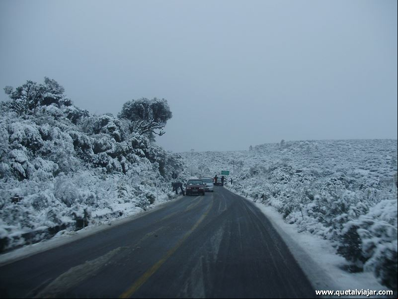 Neve em Urubici - Neve no Morro da Igreja - Serra Catarinense - Santa Catarina - Regi
