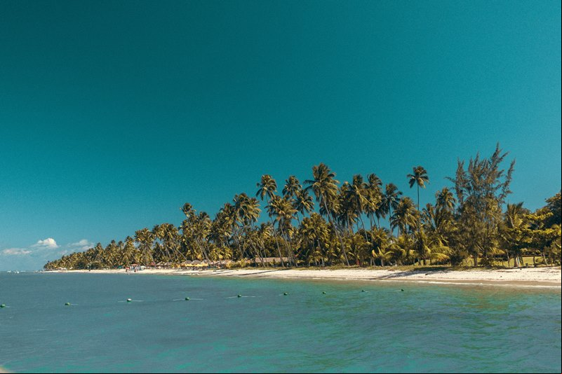 Praia dos Carneiros - Tamandar