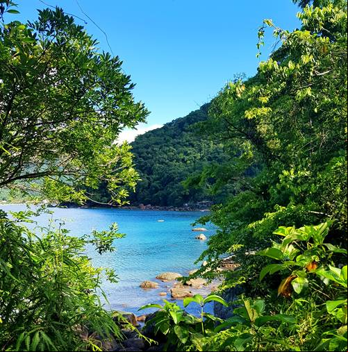 Praia da Fortaleza - Ubatuba - Litoral Norte de S