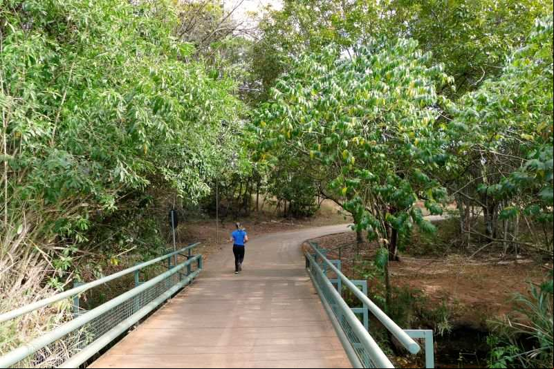 O Parque Ecol