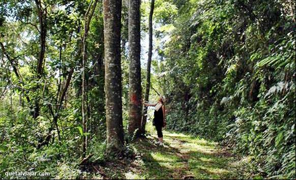 Jardim Suspenso da Babil